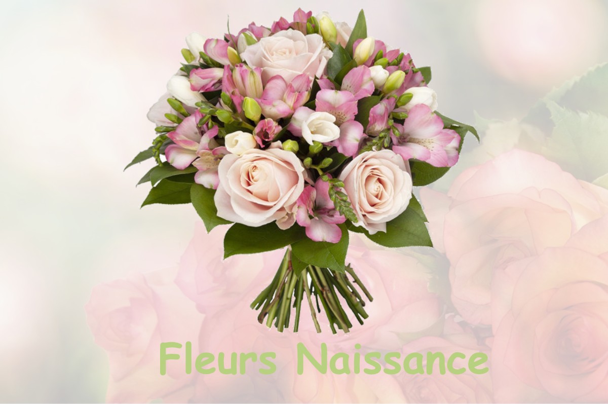 fleurs naissance LUS-LA-CROIX-HAUTE